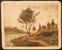 Gross Arnold (1929): Bodrog part. Színezett rézkarc, papír, jelzett, 23×30 cm