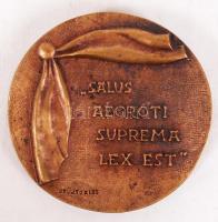 Várhelyi György (1942-): Dr. Váradi István. Bronz plakett, jelzett, d:11 cm