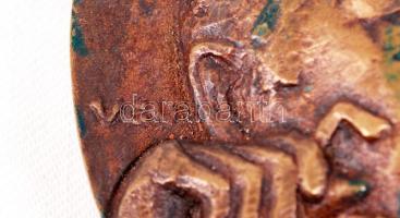 Várhelyi György (1942-): Dr. Váradi István. Bronz plakett, jelzett, d:11 cm