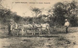 Brazzaville, plowing, folklore