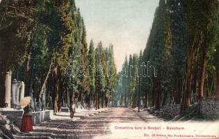 Constantinople Scutari