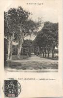 Fort-de-France Alley of Sighs (gluemark)