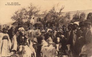 Saint-Louis Comice agricole