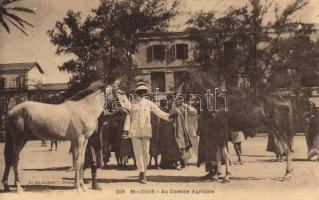 Saint-Louis Comice agricole