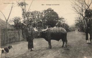 Vietnamese village, man with buffalo, folklore