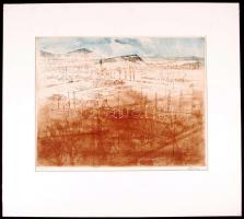 Ősz Dénes (1915-1980): Kilátás. Színezett rézkarc, papír, jelzett, paszpartuban, 24×28 cm