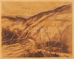 Barta Ernő (1878-1956): Przemysl 1915. Litográfia, jelzett, üvegezett keretben, 40x50cm (üveg törött...