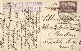 Budapest II. Hűvösvölgy, Holtzspach vendéglő belső, photo (fl)