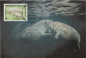 WWF Állatok sor CM WWF Animals set CM