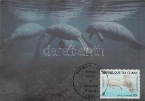 WWF Tengeri tehén CM WWF Sea Cow on CM