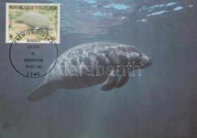 WWF Tengeri tehén CM WWF Sea Cow on CM