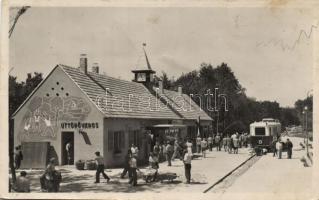 Budapest XII. Széchenyi-hegy úttörő vasút (fa)