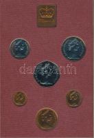 Nagy-Britannia / Írország 1979. 1/2p - 50p 6klf db, forgalmi szett plasztik tokban kartonban(Királyi pénzverde) T:1 Great Britain / Northern ireland 1979. 1/2 penny - 50 pence 6 different, coin set in plastic and carton case (Royal mint) C:UNC