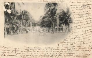 Saint-Louis, Avenue Servantius (fl)