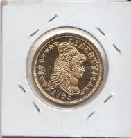 Amerikai Egyesült Államok 2003. "1795. Liberty" 24K-os aranyozásos fém replika plasztik to...