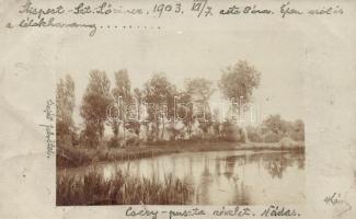 Budapest XIX. Kispest, Szentlőrinc; Cséry-puszta, photo (fa)