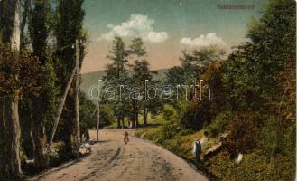 Szklenófürdő street (b)