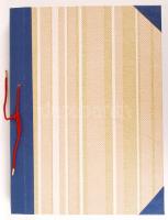 Ausztria vegyes 339 db-os gyufacímke gyűjtemény, régiekkel, nagyon szépen feliratozva, albumba rende...