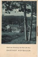 13 db régi, osztrák képeslap / 13 Austrian postcards