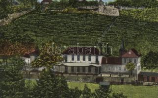 Pozsony, 3. Bimbóház, Batzenhäusel