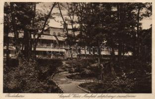 Budakeszi Csepeli Weisz Manfréd alapítványi szanatórium (EB)