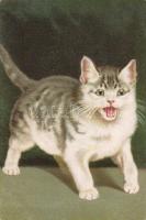 Cat, Wenau-Pastell litho