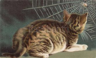 Cat, Wenau-Pastell litho