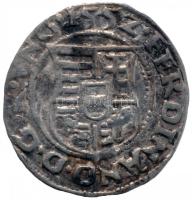 1552K-B Denár Ag "I. Ferdinánd"  T:2
Huszár 935., Unger II 745.a