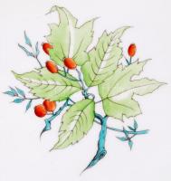 Herendi csipkebogyó mintás 6 személyes komplett étkészlet tálakkal, leveses tállal, sótartóval szép ...