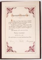 1917 DDSG díszes oklevél Keményfy Lajos úrnak, az Első cs. kir. szab. Dunagőzhajőzási társaság kapit...