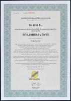 Csurgó 1997. "Napsugár Ruházati Részvénytársaság" törzsrészvénye 1000, 10.000, 50.000 és 100.000Ft-ról (4x) A,B,C,D sorozat T:I