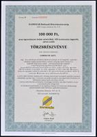 Csurgó 1997. "Napsugár Ruházati Részvénytársaság" törzsrészvénye 1000, 10.000, 50.000 és 1...