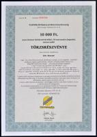 Csurgó 1997. "Napsugár Ruházati Részvénytársaság" törzsrészvénye 1000, 10.000, 50.000 és 1...