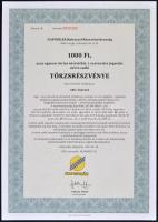 Csurgó 1997. "Napsugár Ruházati Részvénytársaság" törzsrészvénye 1000, 10.000, 50.000 és 1...