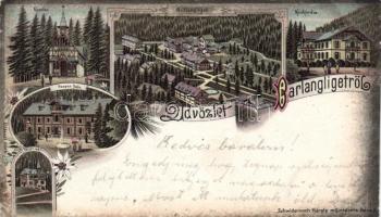 1899 Barlangliget litho (b)