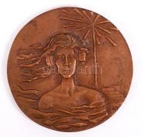 Vass Csaba (1950-): Fülhallgatós lány. Bronz plakett, két oldalas, jelzett, d:9,5 cm