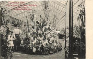 Frankfurt am Main, Palmengarten (EK)