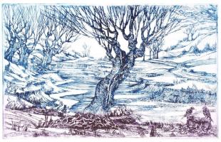 Kolozsvári G. Miklós (1950-): Varjú dialógus.  Rézkarc, papír, jelzett, 13×20 cm