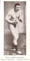 Czája József world champion wrestler, small size card, 15 cm x 8 cm (EK)