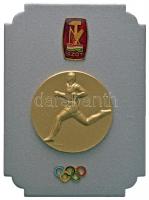 ~1970. "Szakszervezetek Országos Tanácsa" ezüst fokozatának kitüntetése (hátlap levált) sz...