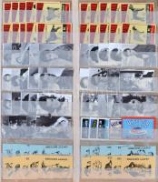 Főleg külföldi gyufacimke gyűjtemény, 3.600 db különféle rengeteg sorral, 2 berakóban / 3.600 differ...