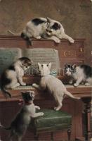 Cats on piano s: C. Reichert