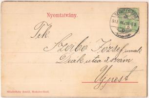 Herkulesfürdő, Mihalovitzky Arnold kiadása; panoramacard (cut)