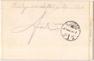 Orsova, panoramacard