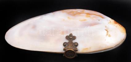 Kagylóból készített ékszertartó, réz szerelékkel, 10×4 cm