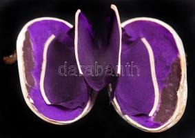 Kagylóból készített ékszertartó, réz szerelékkel, 10×4 cm