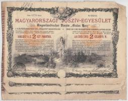 Budapest 1888. "Magyarországi Jószív Egyesület" sorsjegye, pecsételéssel 2Ft-ról magyar és német nyelven (3x) T:III