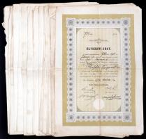 Budapest 1888-1914. "Budai Hegypályatársaság" Élvezeti-jegy (40db) T:III