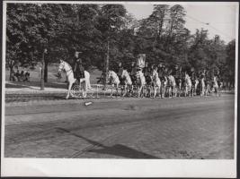 cca 1930-1940 Kallós Oszkár (1874-1955): Lovas testőrség, pecséttel jelzett vintage fotó, 12x17 cm