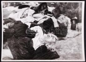 1944-1945 Szálasi rémuralmának áldozatai, 7 db megdöbbentő és szörnyű fénykép, 18x24 cm